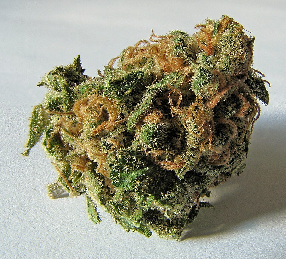 Honeymoon Diesel — hybrid cannabis flower from Greens Karing Kind, Los Angeles