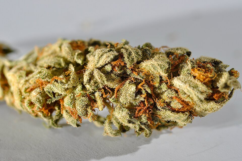 Wedding Cake — hybrid cannabis flower from Greens Karing Kind, Los Angeles