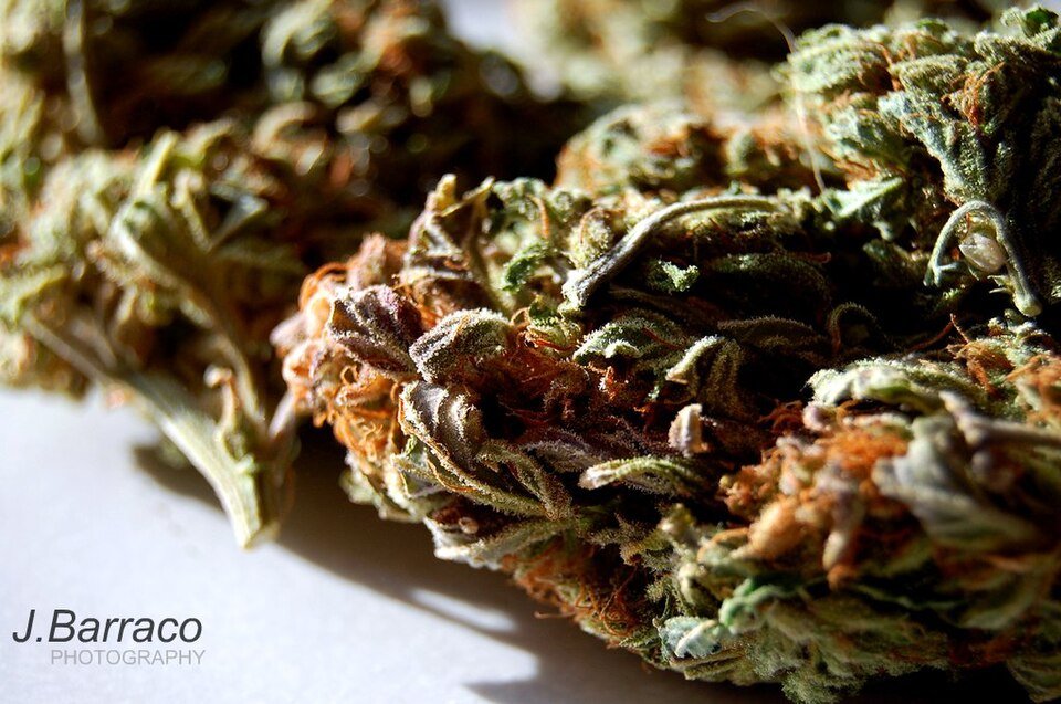 Blue Dream — sativa cannabis flower from Greens Karing Kind, Los Angeles