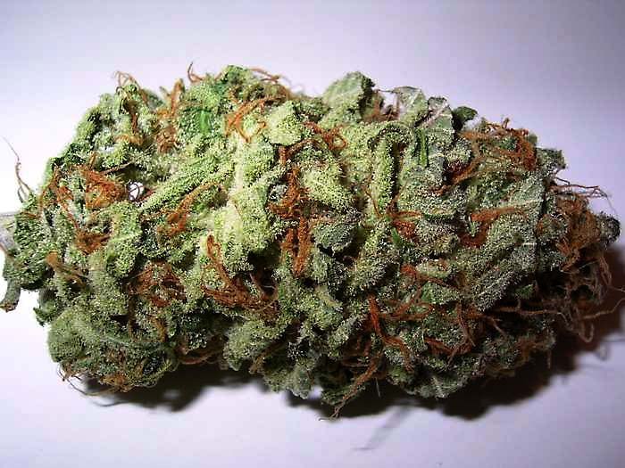 White Widow — hybrid cannabis flower from Greens Karing Kind, Los Angeles