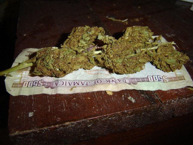 Northern Lights — indica cannabis flower from Greens Karing Kind, Los Angeles