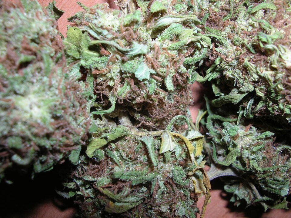 Gorilla Glue #4 — hybrid cannabis flower from Greens Karing Kind, Los Angeles