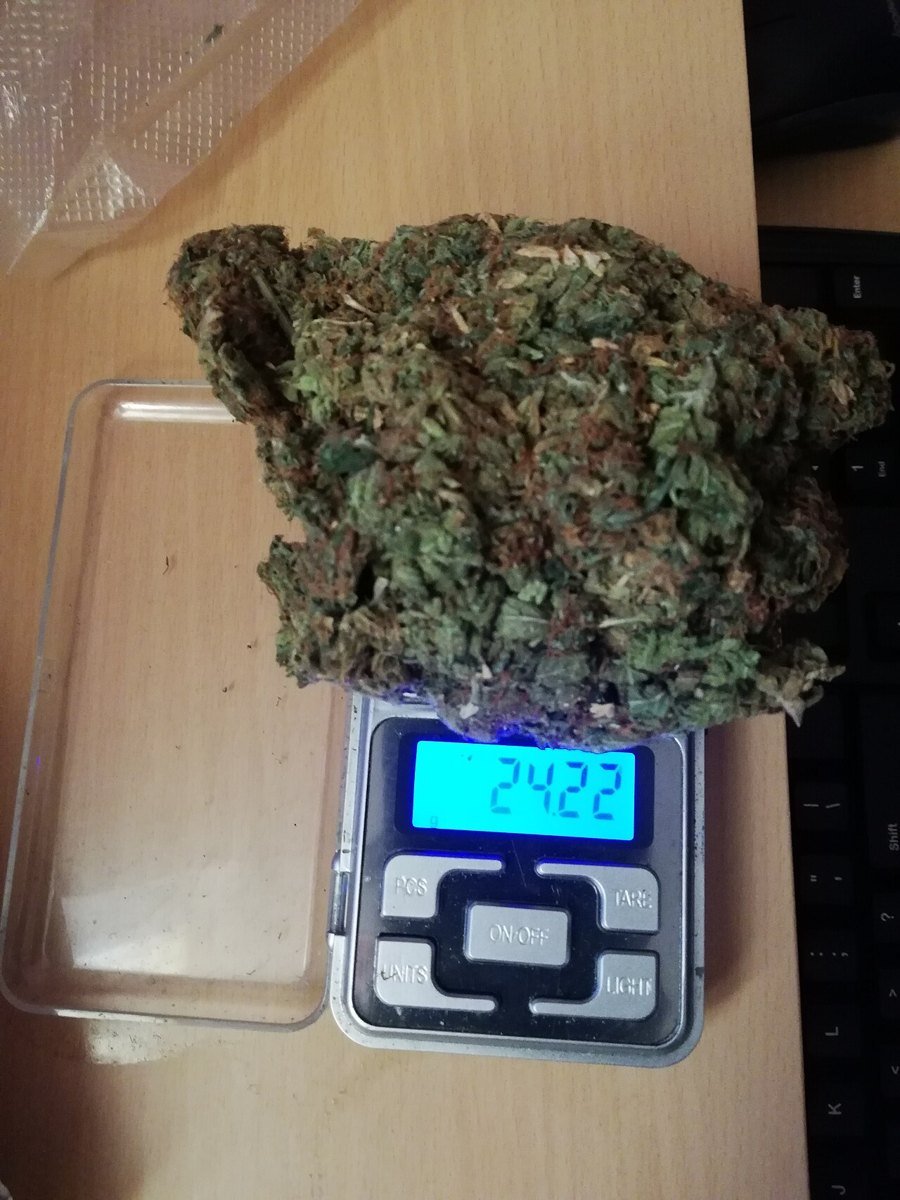 Bubba Kush — indica cannabis flower from Greens Karing Kind, Los Angeles