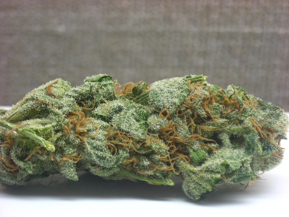 Super Silver Haze — sativa cannabis flower from Greens Karing Kind, Los Angeles