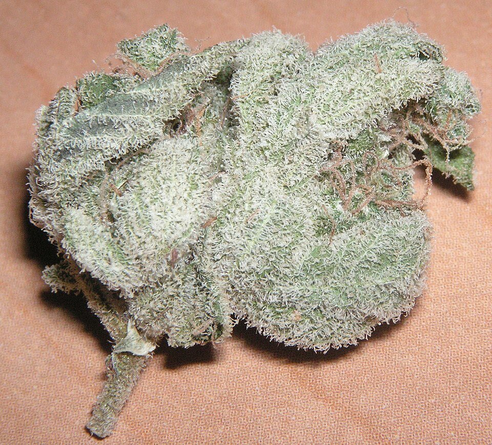 Chemdawg — hybrid cannabis flower from Greens Karing Kind, Los Angeles