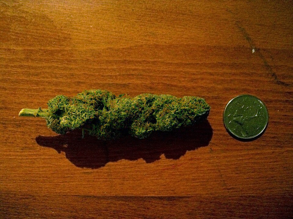 Durban Poison — sativa cannabis flower from Greens Karing Kind, Los Angeles